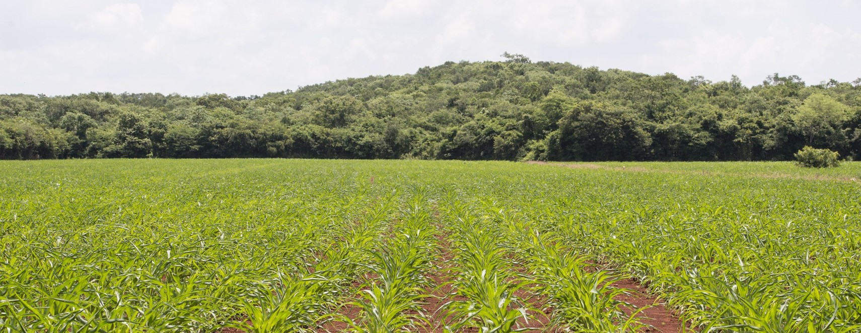 Estar con el campo es estar #ConLaNaturaleza