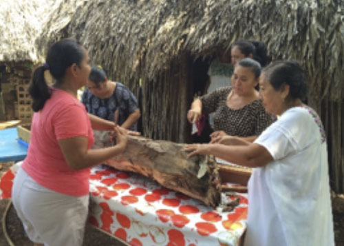 Taller Trigona Nigra_0005_08